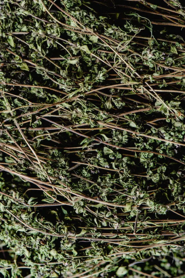 Thyme